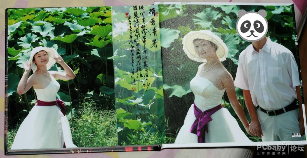 荷塘月色，哈哈，只能想想